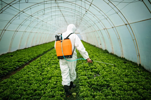 Best Pest Removal Services  in Pocola, OK