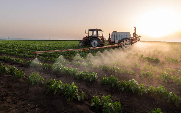 Best Ant Control Services  in Pocola, OK