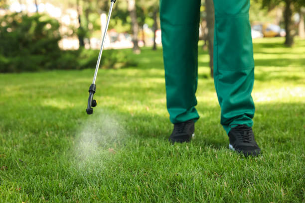 Best Flea Control Services  in Pocola, OK