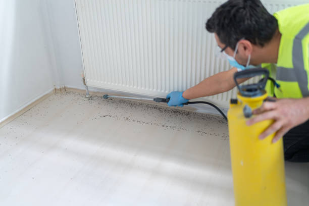 Best Affordable Pest Control Services  in Pocola, OK
