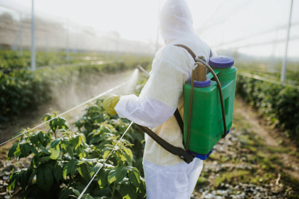 Best Affordable Pest Control Services  in Pocola, OK